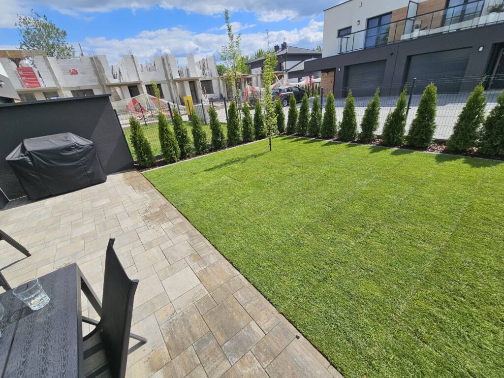 trawa w ogrodzie zaraz po położeniu i podlaniu wodą