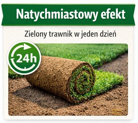 Trawa z rolki – natychmiastowy efekt, zielony trawnik w jeden dzień