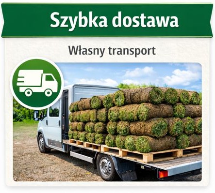 Szybka dostawa trawy z rolki własnym transportem do klienta