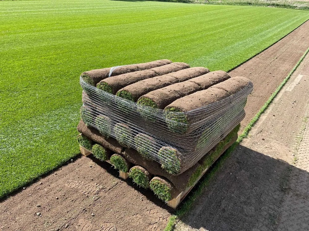 sprzedaż trawy z rolki przedstawia paletę trawy przygotowaną do transportu prosto z plantacji