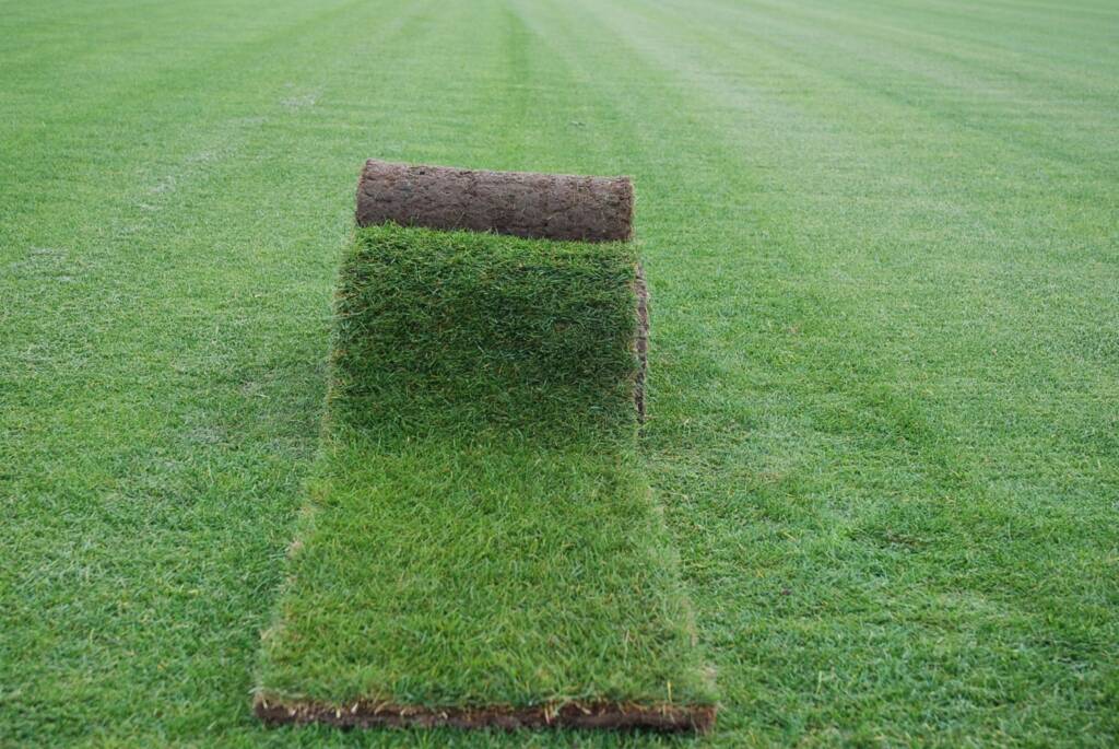 częściowo rozwinięte rolki trawy na już rozwiniętej trawię czekające na rozwinięcie w miejscu docelowym