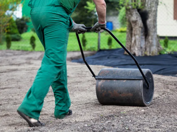 moment wałowania wyrównanej ziemi już pod trawę