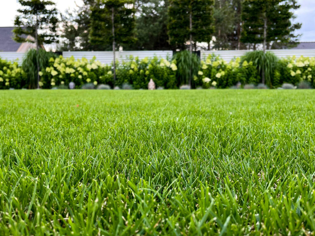 zielona trawa z rolki położona w ogrodzie