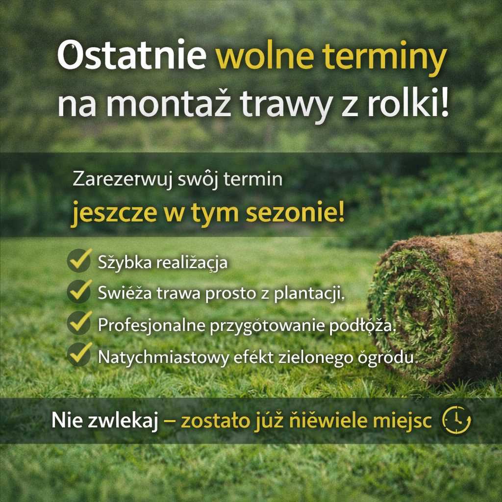 Ostatnie wolne terminy na montaż trawy z rolki – świeżo ułożony zielony trawnik przy domu