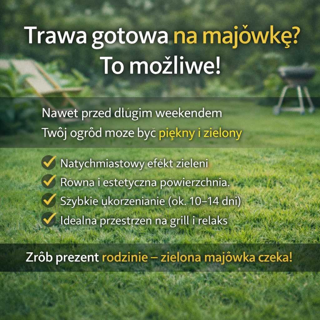 Trawa gotowa na majówkę – świeżo ułożony zielony trawnik przygotowany na wiosenny weekend