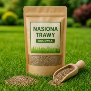 Nasiona na dosiewki trawy - produkt