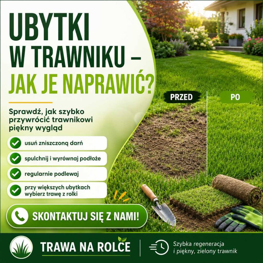 ubytki w trawniku regeneracja darni naprawa pustych miejsc podlewanie i uzupełnianie trawy z rolki w ogrodzie