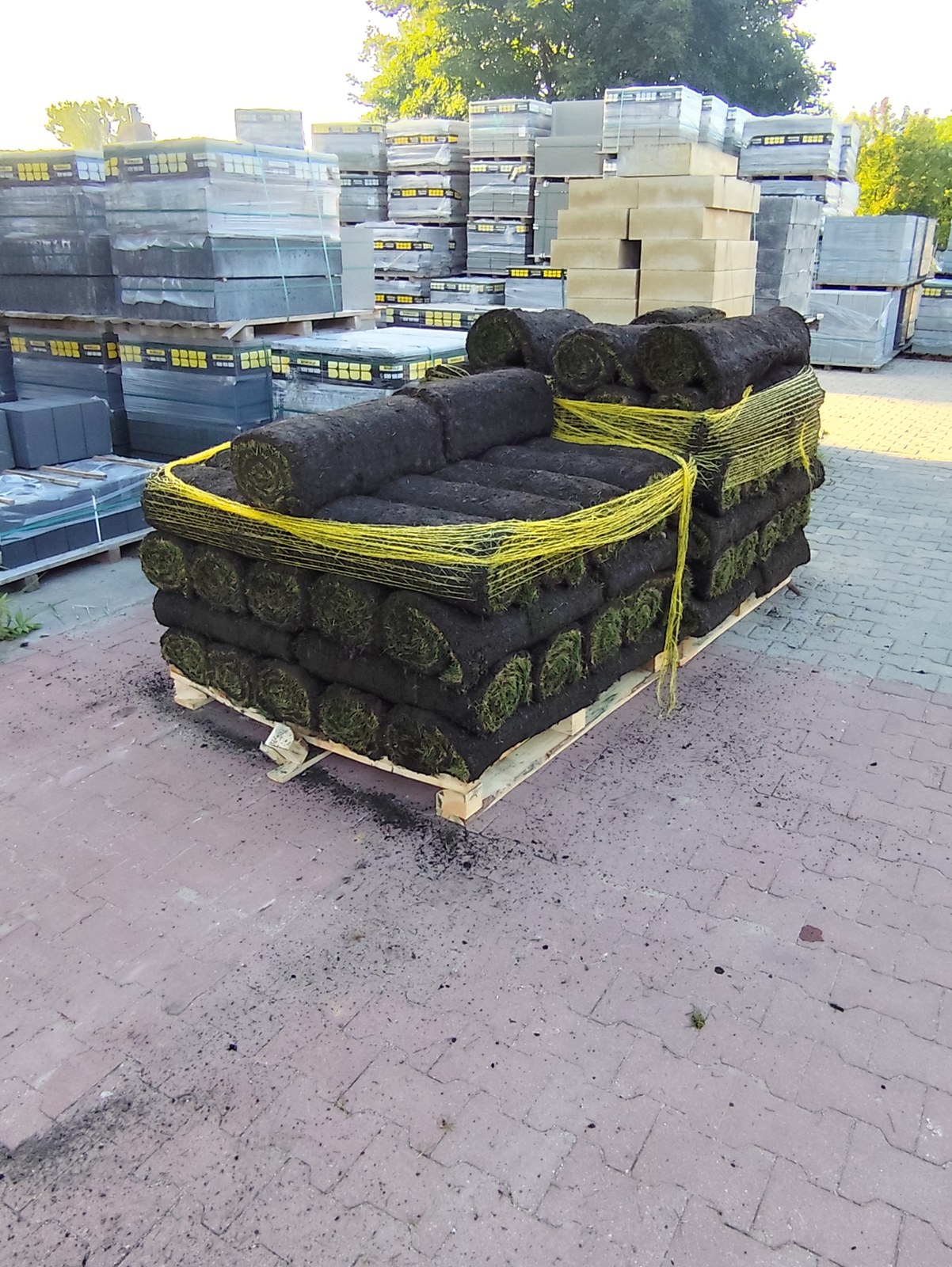 Dwie palety z rolkami darni spiętymi siatką