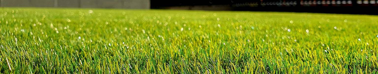 trawa z rolki w ogrodzie w słoneczny dzień